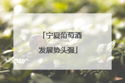 宁夏葡萄酒发展势头强