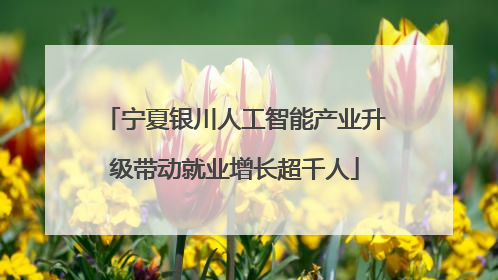 宁夏银川人工智能产业升级带动就业增长超千人