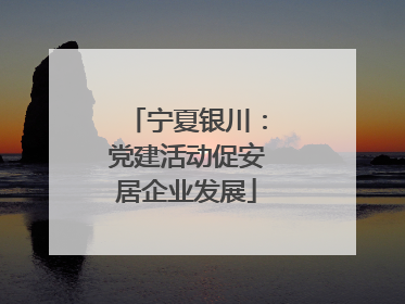 宁夏银川：党建活动促安居企业发展