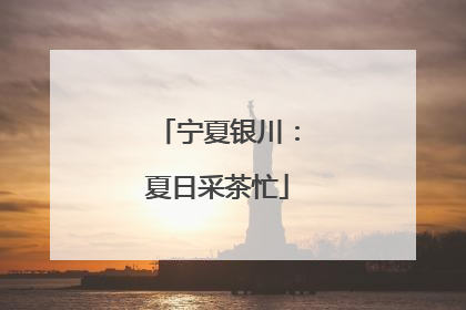 宁夏银川：夏日采茶忙