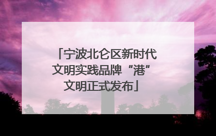 宁波北仑区新时代文明实践品牌“港”文明正式发布