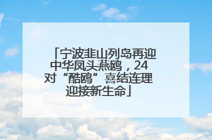 宁波韭山列岛再迎中华凤头燕鸥，24对“酷鸥”喜结连理迎接新生命