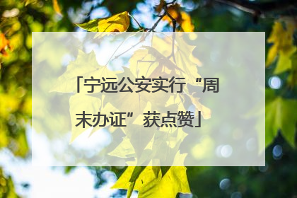 宁远公安实行“周末办证”获点赞