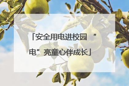 安全用电进校园 “电”亮童心伴成长