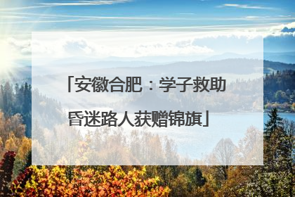 安徽合肥：学子救助昏迷路人获赠锦旗