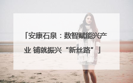 安康石泉：数智赋能兴产业 铺就振兴“新丝路”