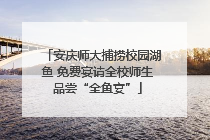 安庆师大捕捞校园湖鱼 免费宴请全校师生品尝“全鱼宴”