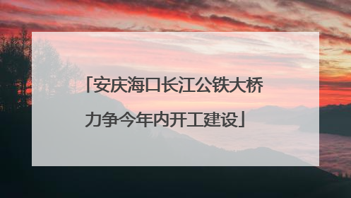 安庆海口长江公铁大桥力争今年内开工建设