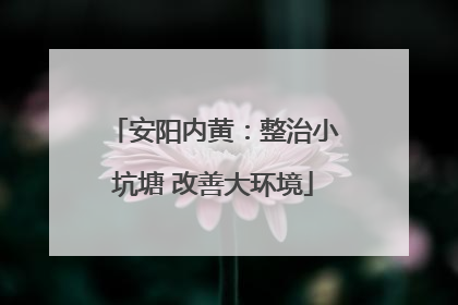 安阳内黄：整治小坑塘 改善大环境