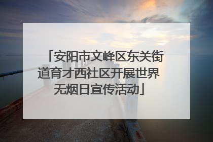 安阳市文峰区东关街道育才西社区开展世界无烟日宣传活动