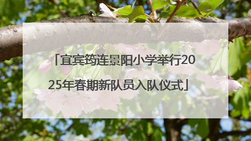 宜宾筠连景阳小学举行2025年春期新队员入队仪式