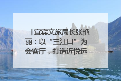 宜宾文旅局长张艳丽：以“三江口”为会客厅，打造近悦远来的国际旅游城市｜文旅局长说