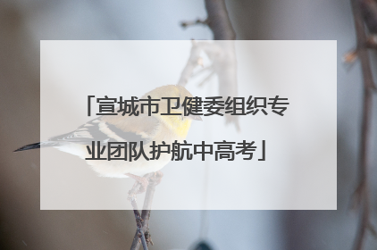 宣城市卫健委组织专业团队护航中高考