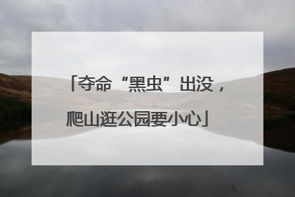 夺命“黑虫”出没，爬山逛公园要小心