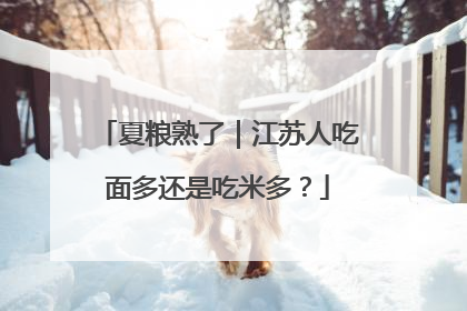 夏粮熟了｜江苏人吃面多还是吃米多？