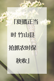 夏播正当时 竹山县抢抓农时保秋收
