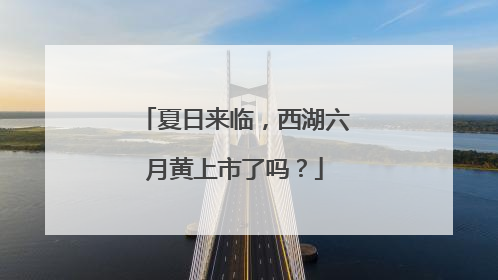 夏日来临，西湖六月黄上市了吗？