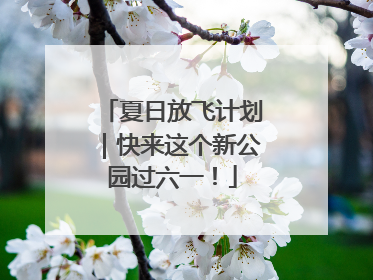夏日放飞计划｜快来这个新公园过六一！