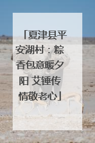 夏津县平安湖村：粽香包意暖夕阳 艾锤传情敬老心