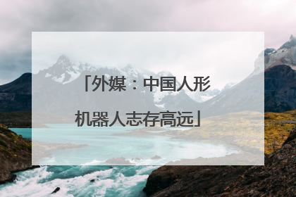外媒：中国人形机器人志存高远