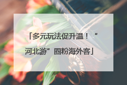 多元玩法促升温！“河北游”圈粉海外客
