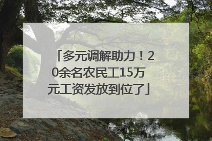 多元调解助力！20余名农民工15万元工资发放到位了