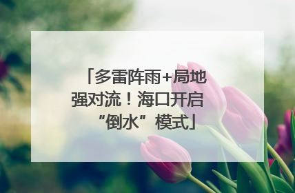 多雷阵雨+局地强对流！海口开启“倒水”模式