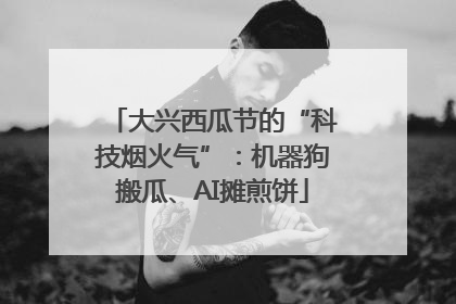 大兴西瓜节的“科技烟火气”：机器狗搬瓜、AI摊煎饼