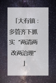 大有镇：多管齐下抓实“两清两改两治理”