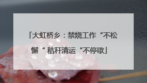 大虹桥乡：禁烧工作“不松懈“ 秸秆清运“不停歇