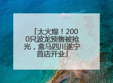 太火爆！2000只波龙预售被抢光，盒马四川遂宁首店开业
