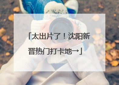 太出片了！沈阳新晋热门打卡地→