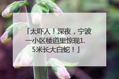 太吓人！深夜，宁波一小区楼道里惊现1.5米长大白蛇！