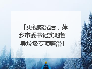 央视曝光后，萍乡市委书记实地督导垃圾专项整治