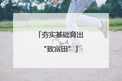 夯实基础育出“致富田”