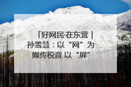 好网民·在东营｜孙雪慧：以“网”为媒传税音 以“屏”为介助发展