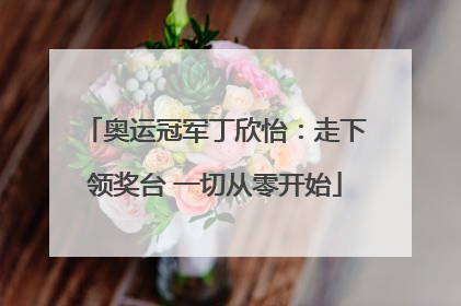 奥运冠军丁欣怡：走下领奖台 一切从零开始