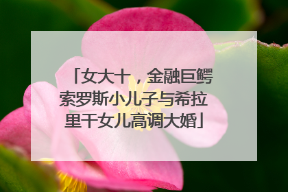 女大十，金融巨鳄索罗斯小儿子与希拉里干女儿高调大婚