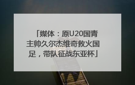 媒体：原U20国青主帅久尔杰维奇救火国足，带队征战东亚杯