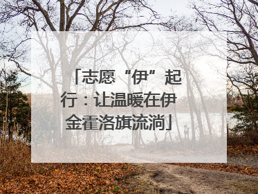 志愿“伊”起行：让温暖在伊金霍洛旗流淌
