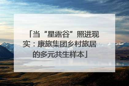当“星露谷”照进现实：康旅集团乡村旅居的多元共生样本