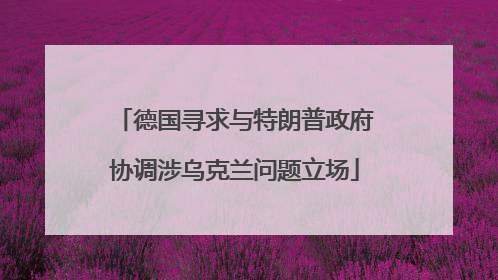 德国寻求与特朗普政府协调涉乌克兰问题立场