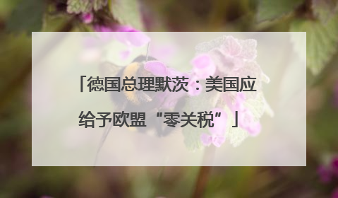德国总理默茨：美国应给予欧盟“零关税”
