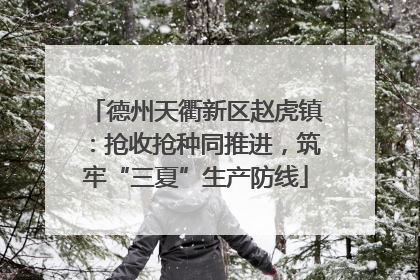 德州天衢新区赵虎镇：抢收抢种同推进，筑牢“三夏”生产防线