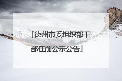德州市委组织部干部任前公示公告