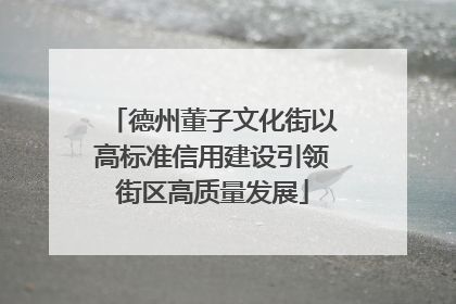 德州董子文化街以高标准信用建设引领街区高质量发展