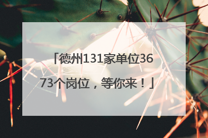 德州131家单位3673个岗位，等你来！