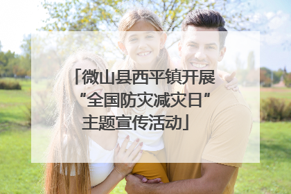 微山县西平镇开展“全国防灾减灾日”主题宣传活动
