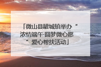 微山县驩城镇举办“浓情端午·圆梦微心愿”爱心帮扶活动