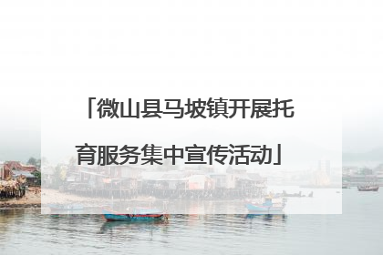 微山县马坡镇开展托育服务集中宣传活动
